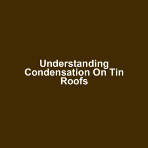 Understanding Condensation on Tin Roofs