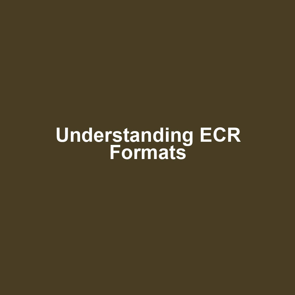 Understanding ECR Formats