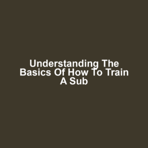 Understanding the Basics of How to Train a Sub