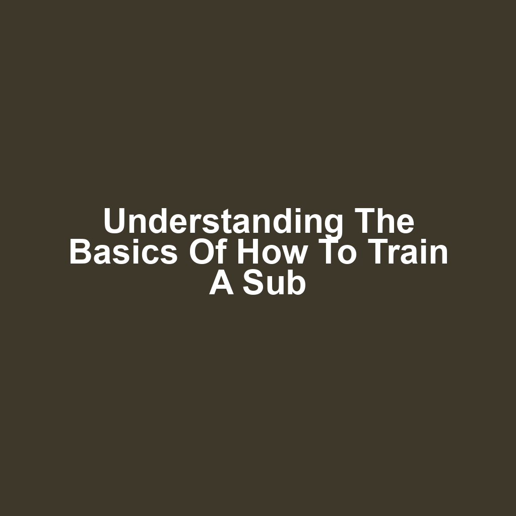 Understanding the Basics of How to Train a Sub