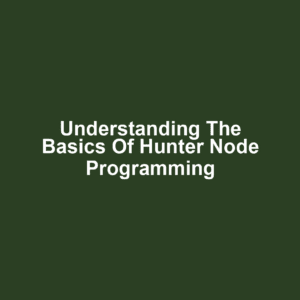 Understanding the Basics of Hunter Node Programming