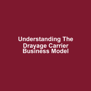 Understanding the Drayage Carrier Business Model