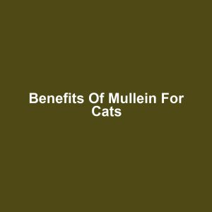 Benefits of Mullein for Cats