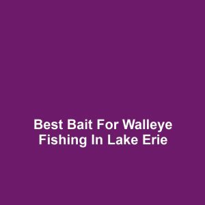 Best Bait for Walleye Fishing in Lake Erie