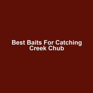 Best Baits for Catching Creek Chub