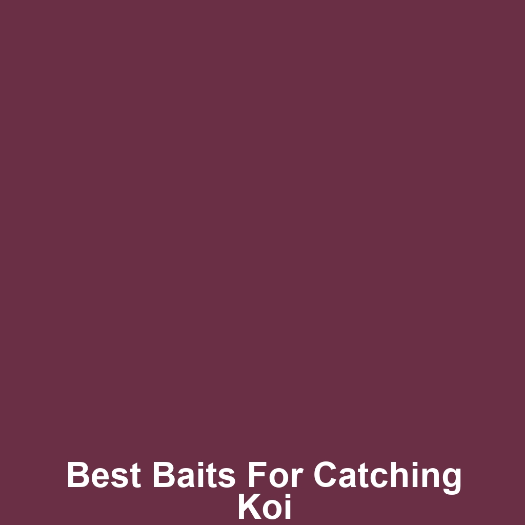 Best Baits for Catching Koi