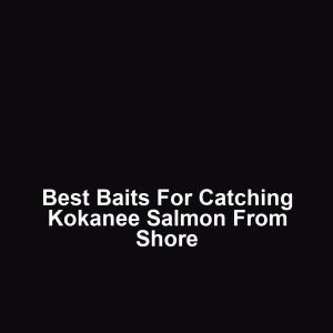Best baits for catching kokanee salmon from shore