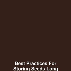 Best Practices for Storing Seeds Long Term