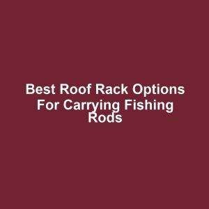 Best Roof Rack Options for Carrying Fishing Rods
