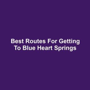 Best Routes for Getting to Blue Heart Springs