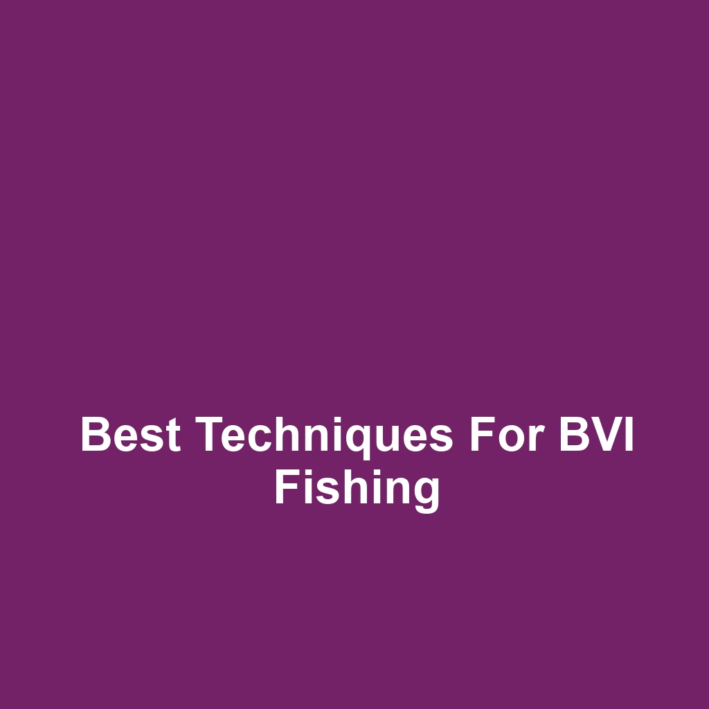 Best Techniques for BVI Fishing