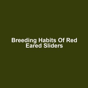 Breeding Habits of Red Eared Sliders