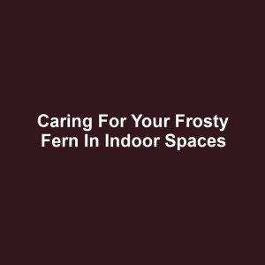 Caring for Your Frosty Fern in Indoor Spaces