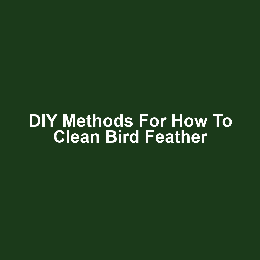 DIY Methods for How to Clean Bird Feather
