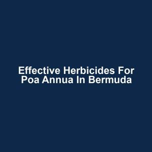 Effective Herbicides for Poa Annua in Bermuda