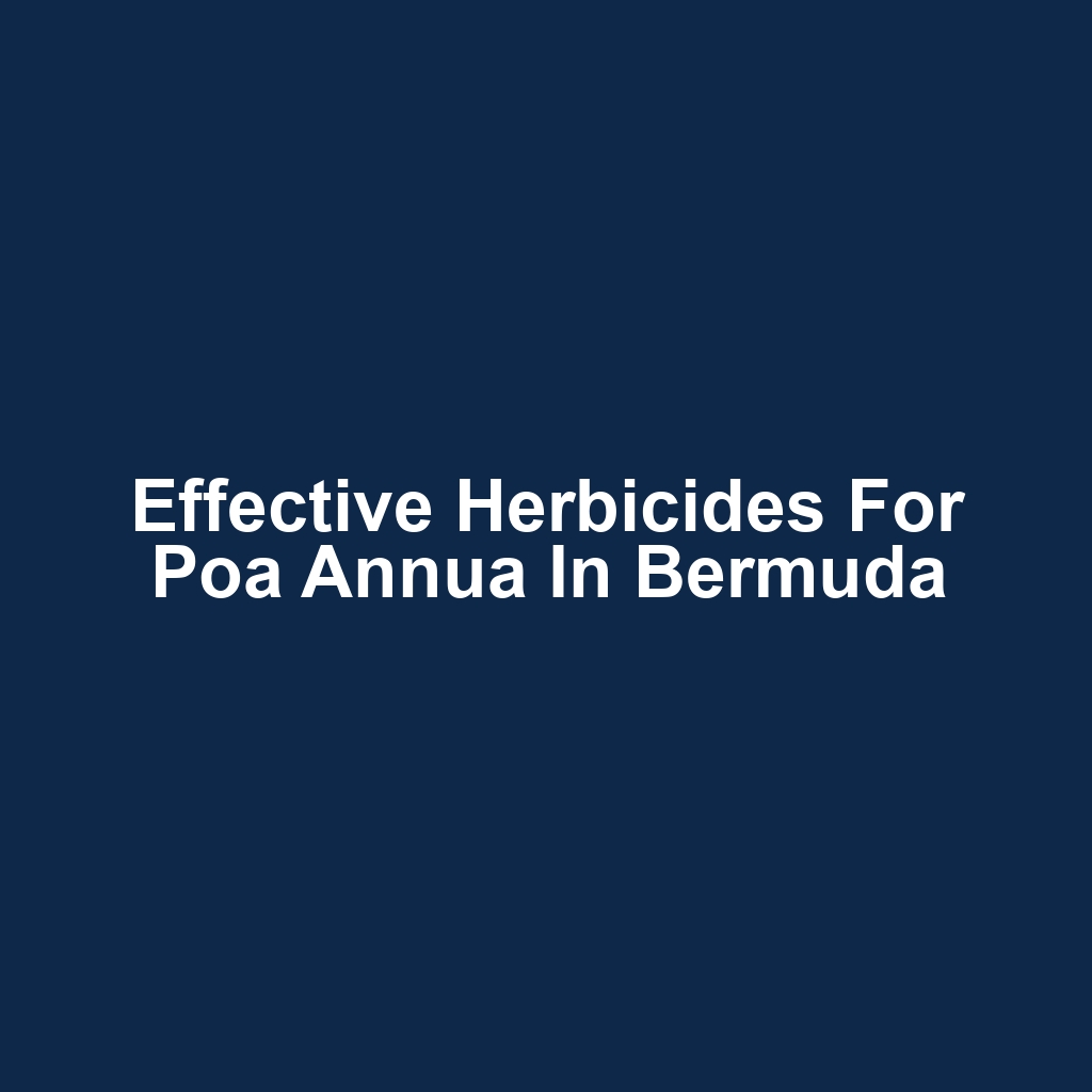 Effective Herbicides for Poa Annua in Bermuda