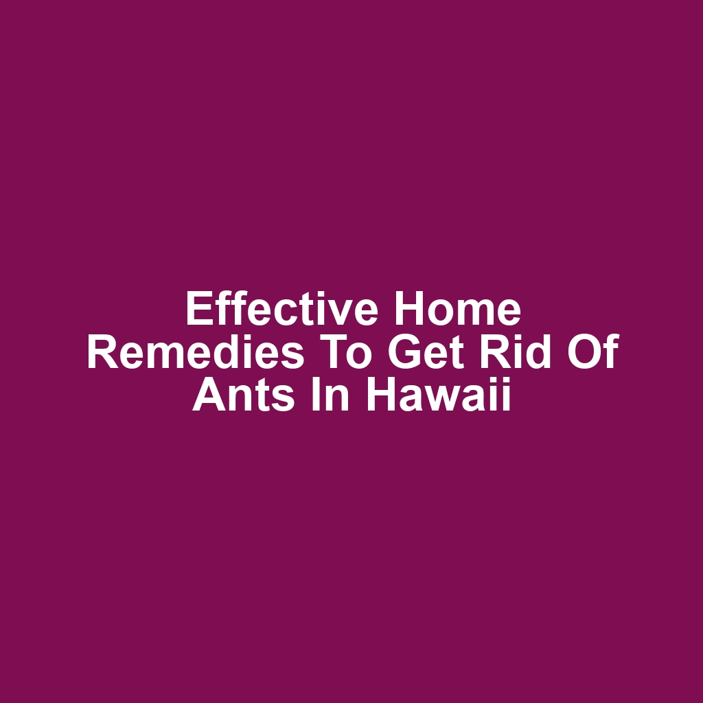 Effective Home Remedies to Get Rid of Ants in Hawaii