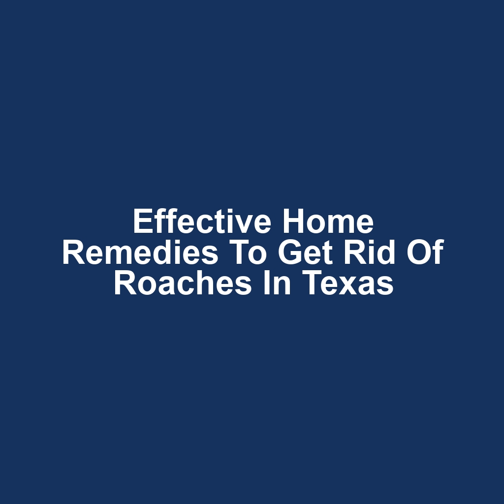 Effective Home Remedies to Get Rid of Roaches in Texas