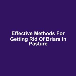 Effective Methods for Getting Rid of Briars in Pasture