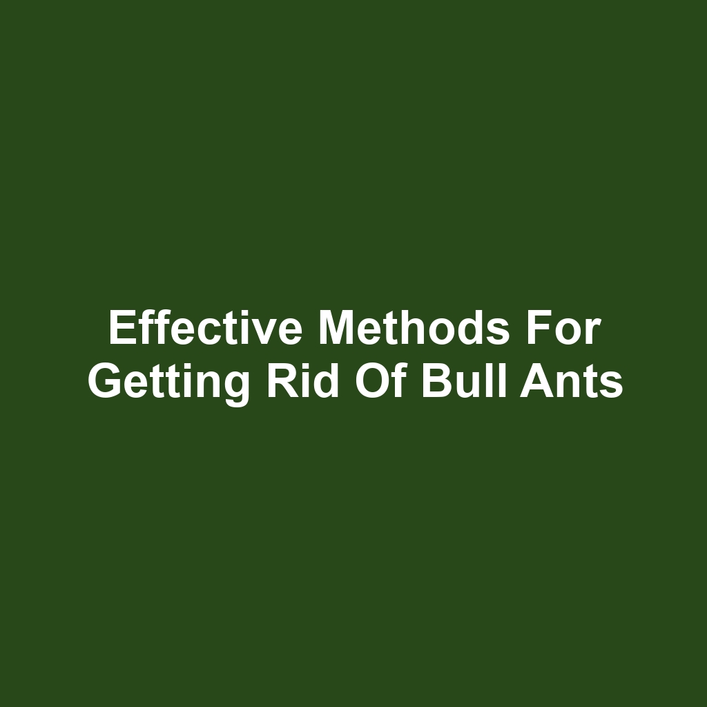 Effective Methods for Getting Rid of Bull Ants
