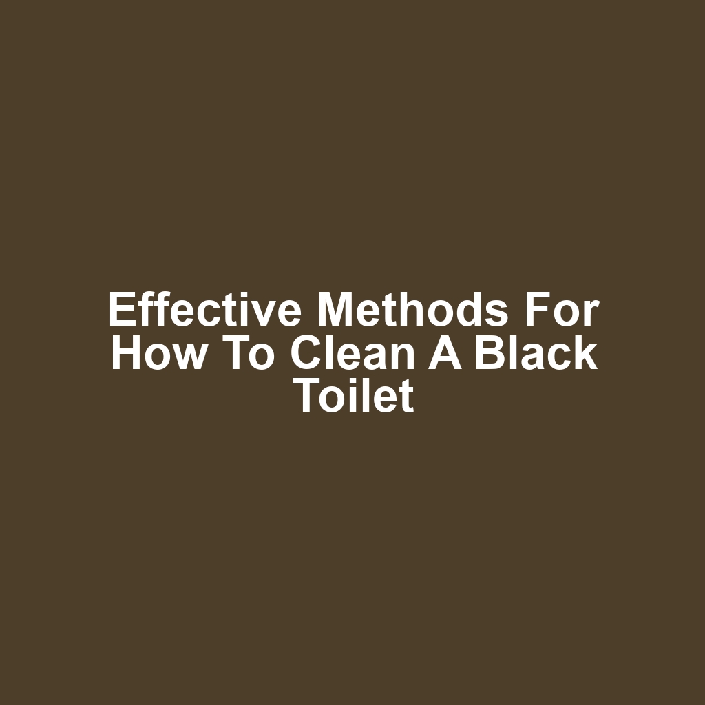 Effective Methods for How to Clean a Black Toilet