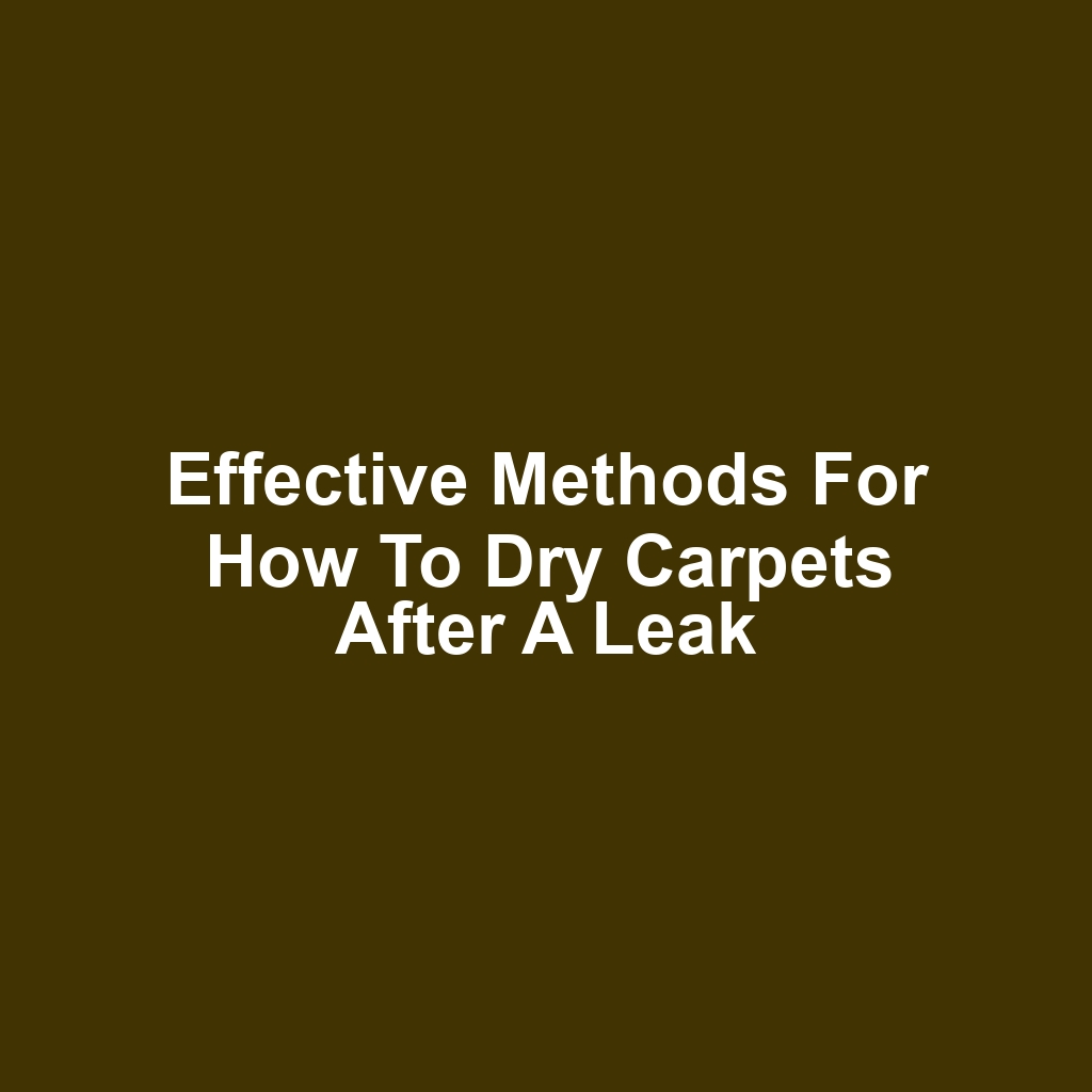 Effective Methods for How to Dry Carpets After a Leak