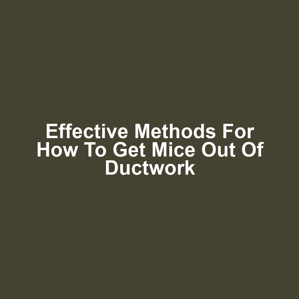 Effective Methods for How to Get Mice Out of Ductwork