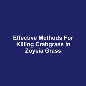 Effective Methods for Killing Crabgrass in Zoysia Grass