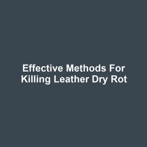 Effective Methods for Killing Leather Dry Rot