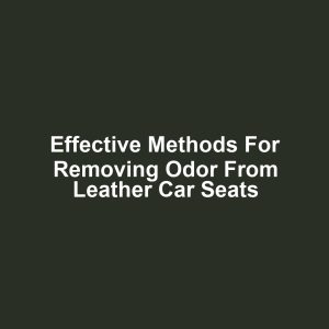 Effective methods for removing odor from leather car seats