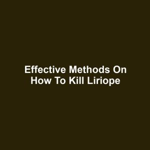 Effective Methods on How to Kill Liriope