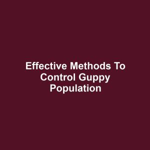 Effective Methods to Control Guppy Population