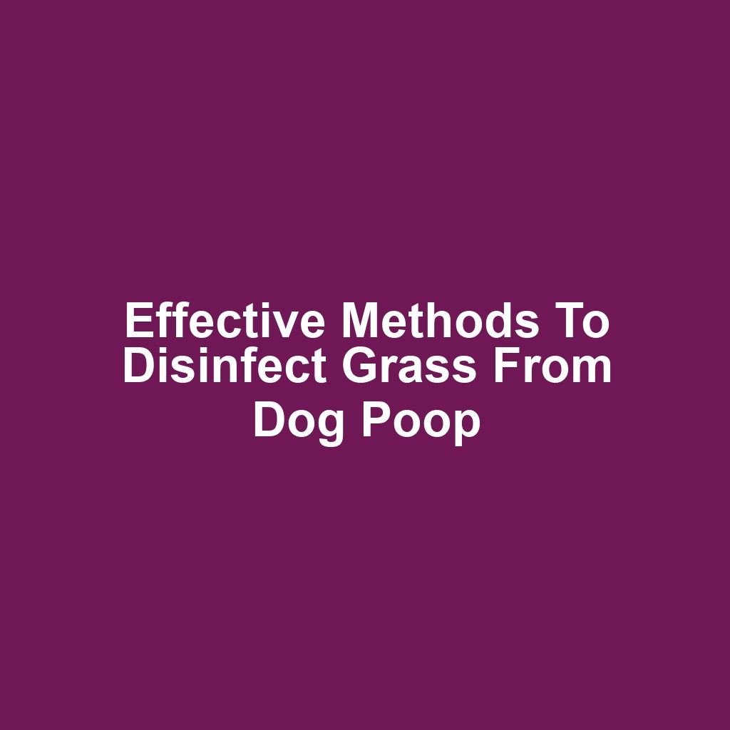 Effective methods to disinfect grass from dog poop
