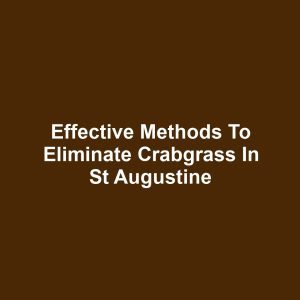 Effective Methods to Eliminate Crabgrass in St Augustine