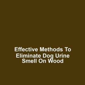 Effective Methods to Eliminate Dog Urine Smell on Wood