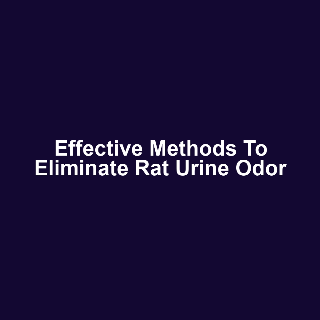 Effective Methods to Eliminate Rat Urine Odor