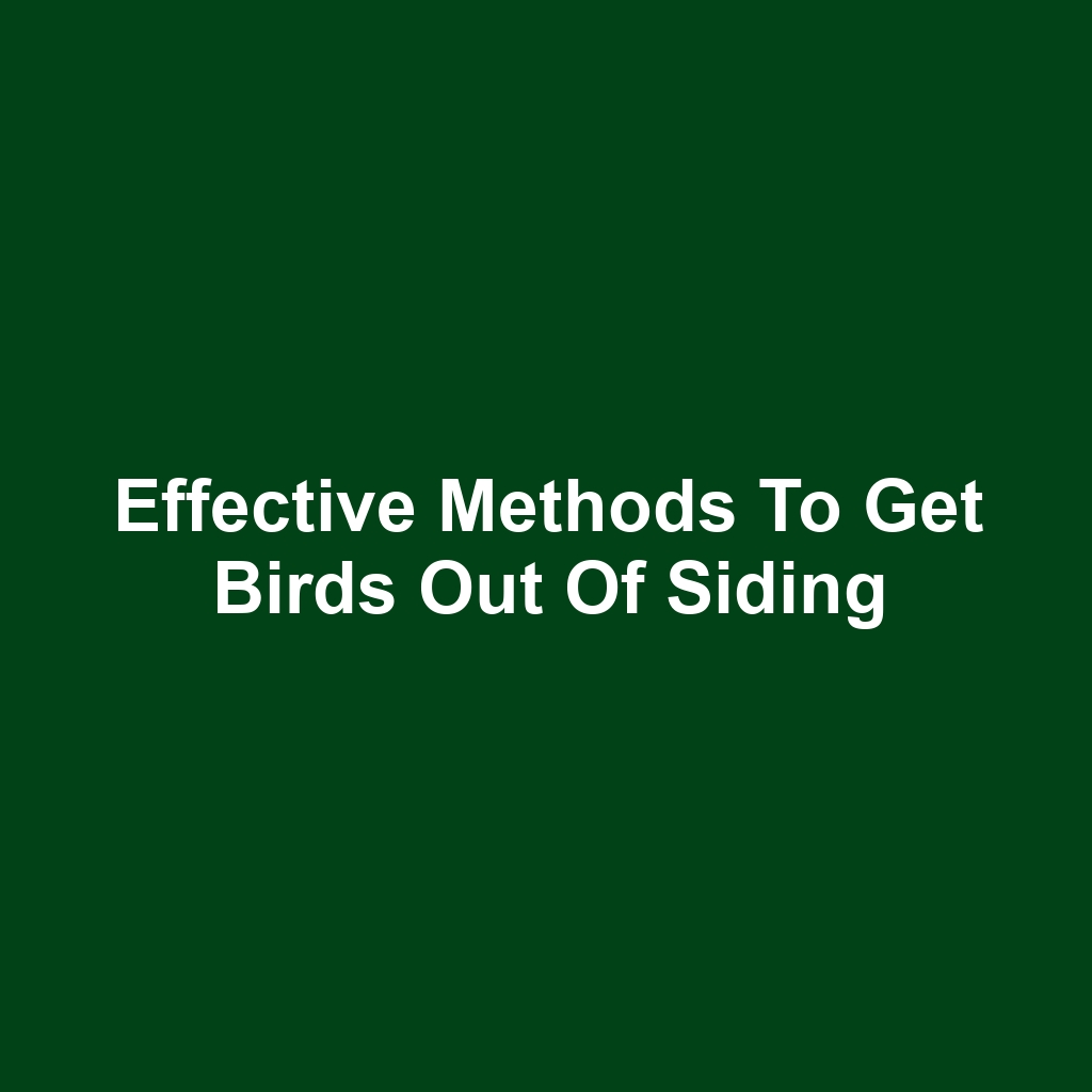 Effective Methods to Get Birds Out of Siding