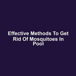 Effective Methods to Get Rid of Mosquitoes in Pool