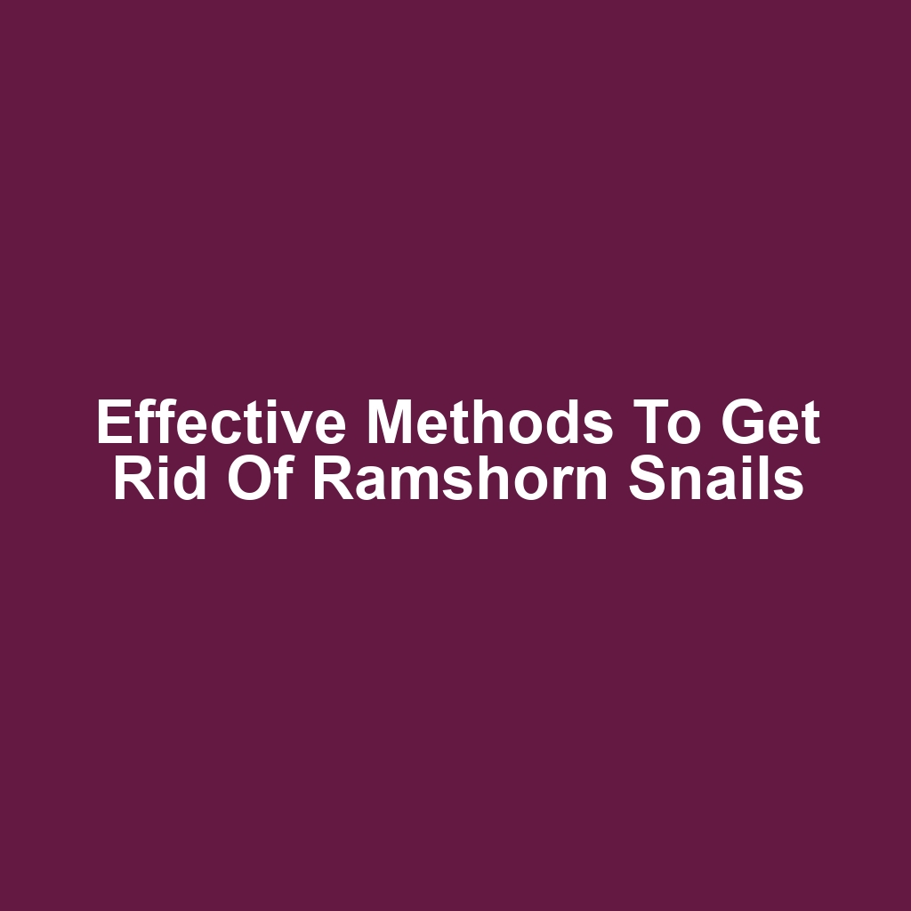 Effective Methods to Get Rid of Ramshorn Snails