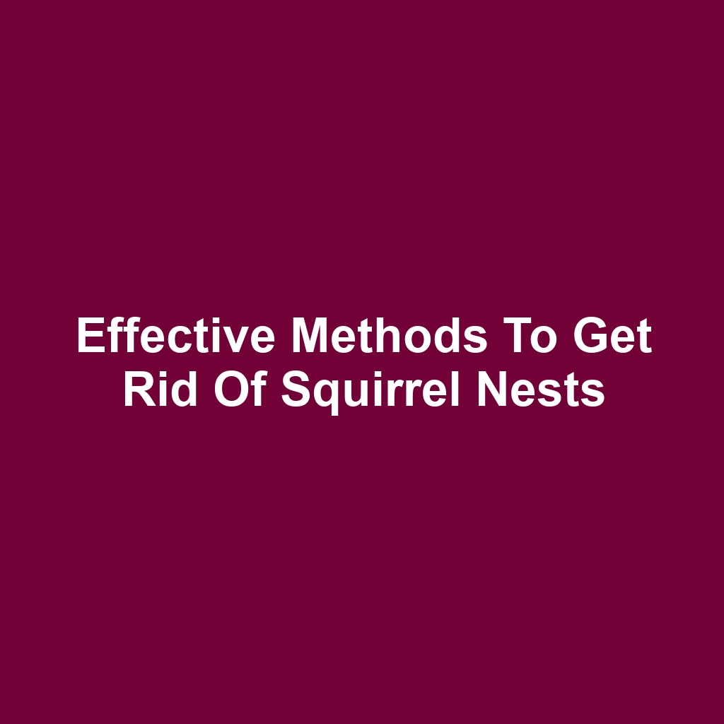 Effective Methods to Get Rid of Squirrel Nests