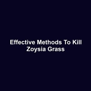 Effective Methods to Kill Zoysia Grass