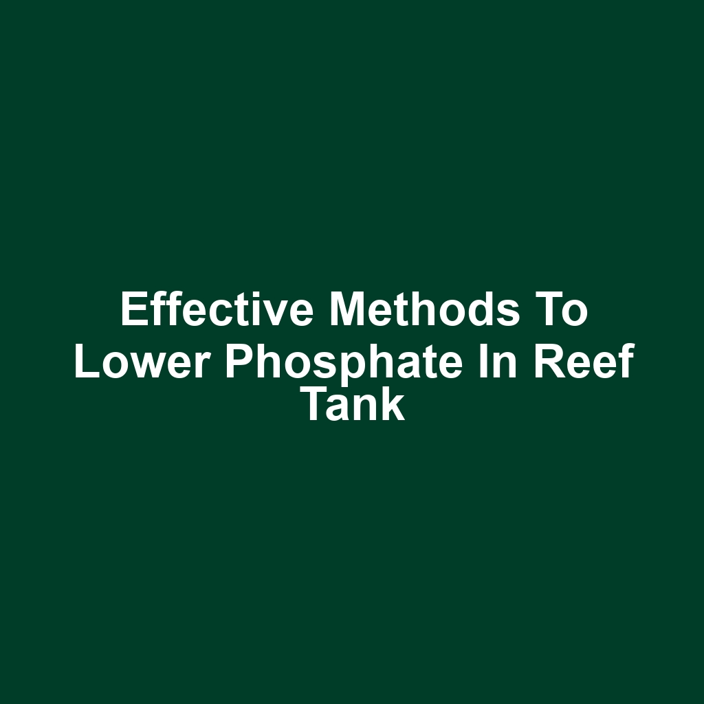 Effective Methods to Lower Phosphate in Reef Tank