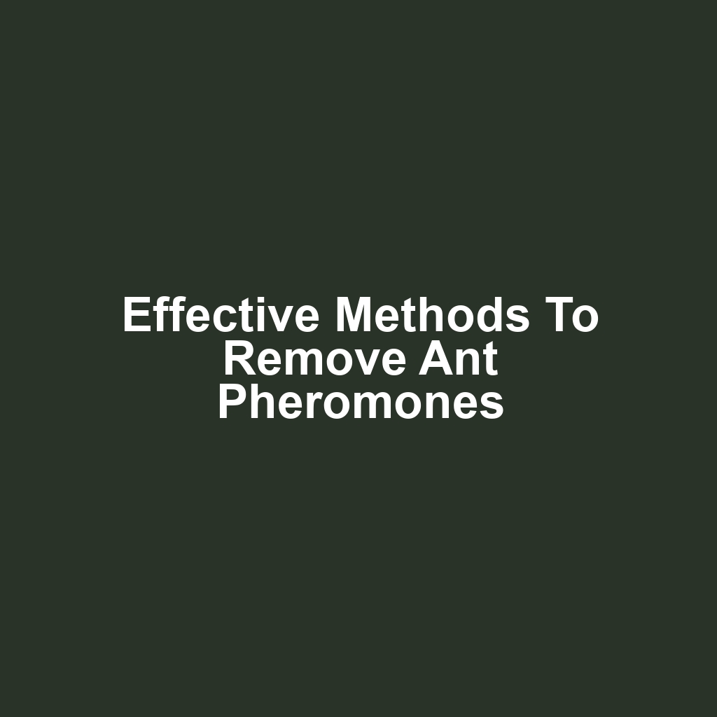 Effective Methods to Remove Ant Pheromones