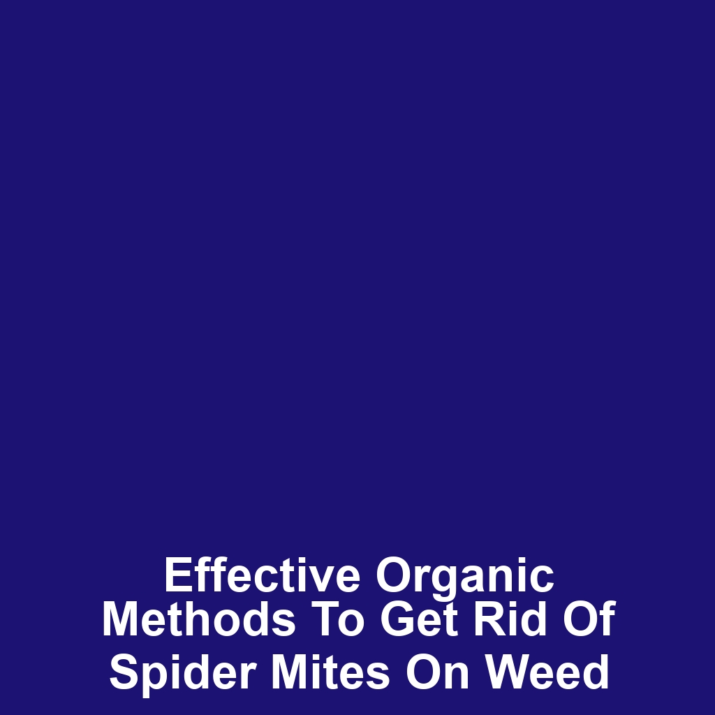 Effective Organic Methods to Get Rid of Spider Mites on Weed
