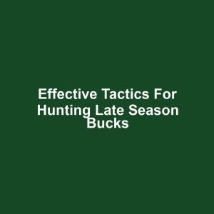 Effective Tactics for Hunting Late Season Bucks