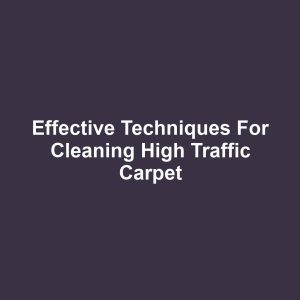 Effective Techniques for Cleaning High Traffic Carpet