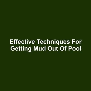 Effective Techniques for Getting Mud Out of Pool