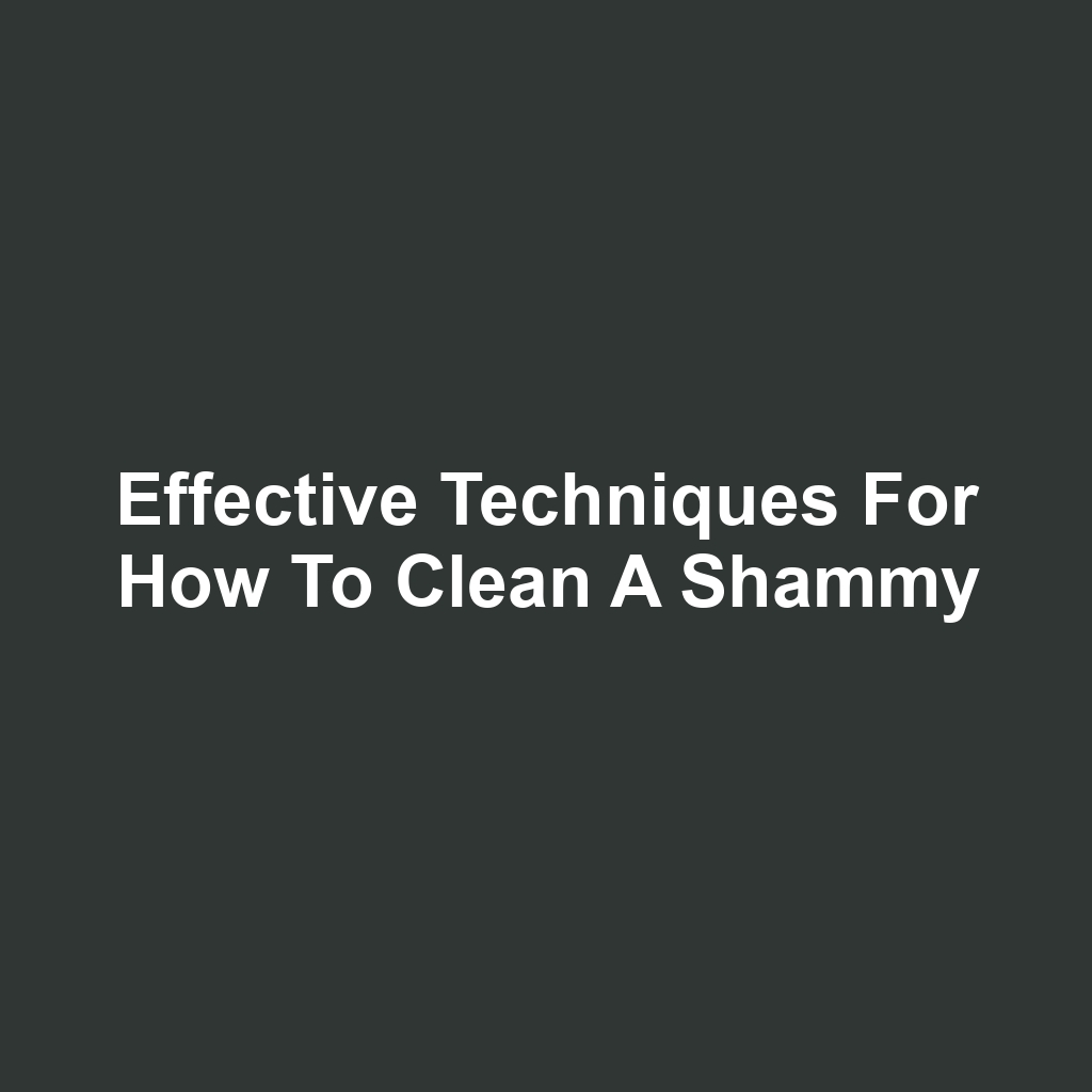 Effective Techniques for How to Clean a Shammy