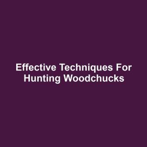 Effective Techniques for Hunting Woodchucks