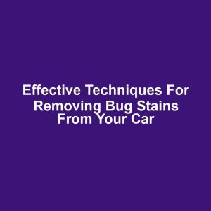 Effective techniques for removing bug stains from your car